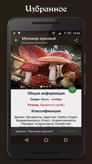 Скриншот 4/5