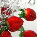 Сочные живые обои логотип