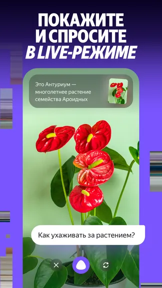 Скриншот 7/7