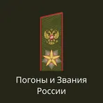 Погоны и звания России логотип