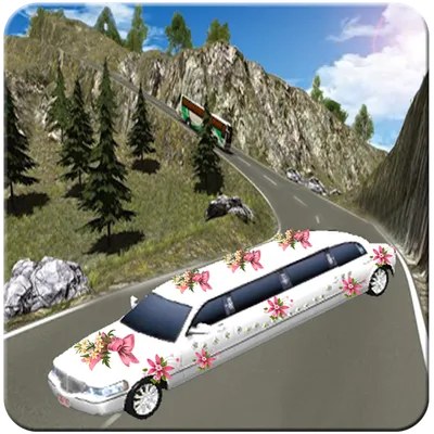 Limo Bridal Parking Simulator in Driving Transport