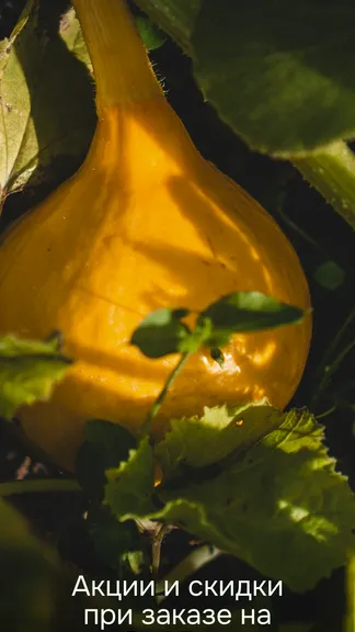 Скриншот 2/8