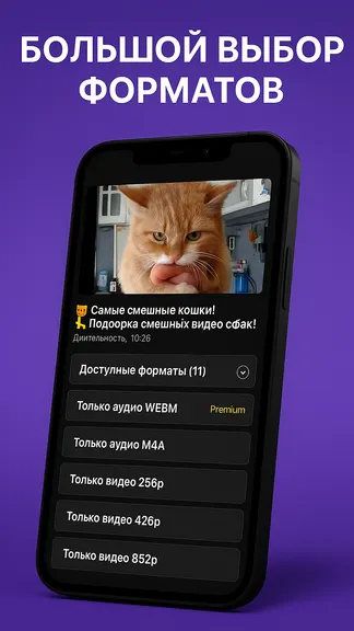 Скриншот 3/3