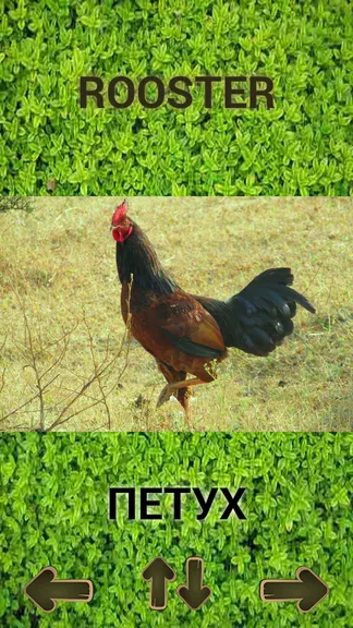 Скриншот 1/7