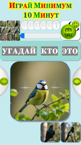 Скриншот 3/4