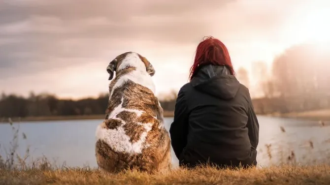 Скриншот 3/8