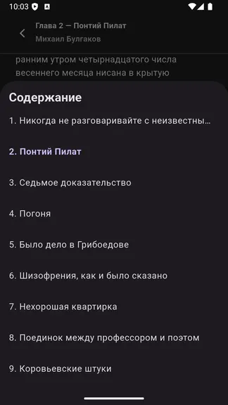 Скриншот 10/10