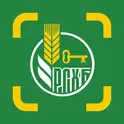 РСХБ QR логотип