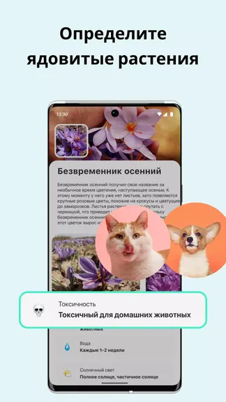 Скриншот 5/5