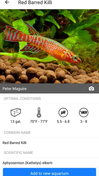 Скриншот 4/10