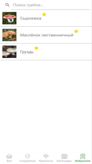 Скриншот 3/5