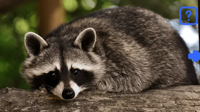 Скриншот 3/4