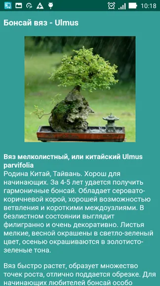 Скриншот 5/8