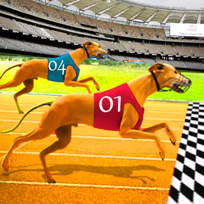 Dog Racing game - Dog race Simulator