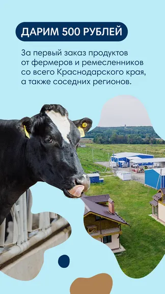 Скриншот 1/5