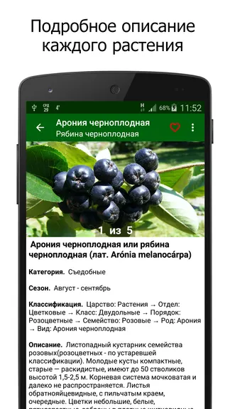 Скриншот 2/5
