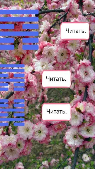 Скриншот 2/3