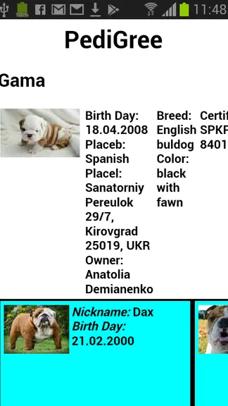 Скриншот 5/8