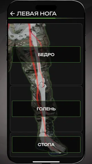 Скриншот 4/10