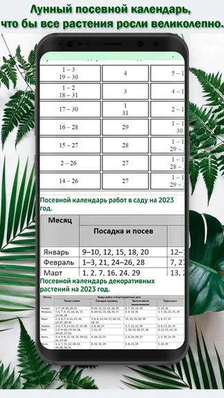 Скриншот 4/4