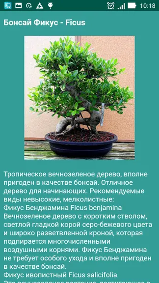 Скриншот 6/8