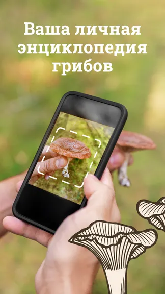 Скриншот 5/5