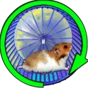 Хомяк В Колесе Пустыня