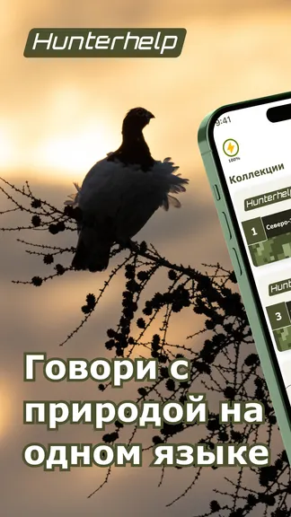 Скриншот 1/5