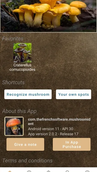 Скриншот 1/7