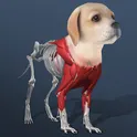 Idle Pet - Create cell by cell логотип
