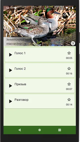Скриншот 3/4