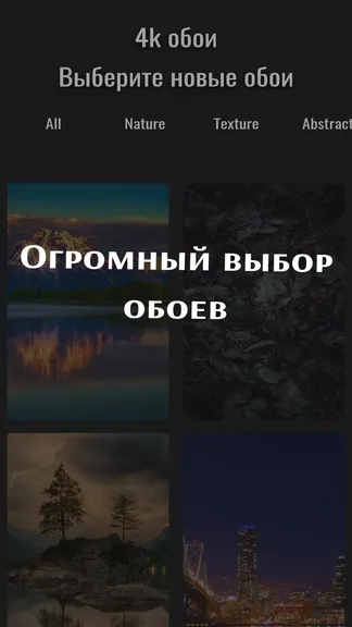 Скриншот 1/4