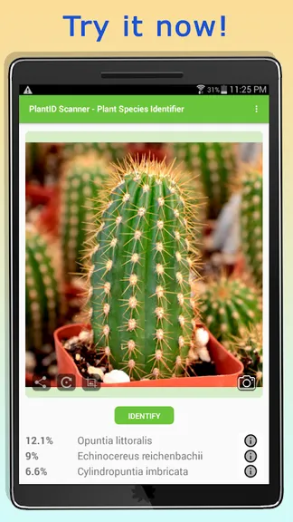 Скриншот 5/10