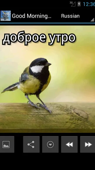 Скриншот 10/10