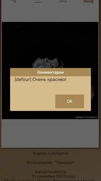 Скриншот 2/3