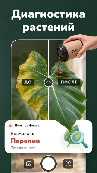 Скриншот 3/8