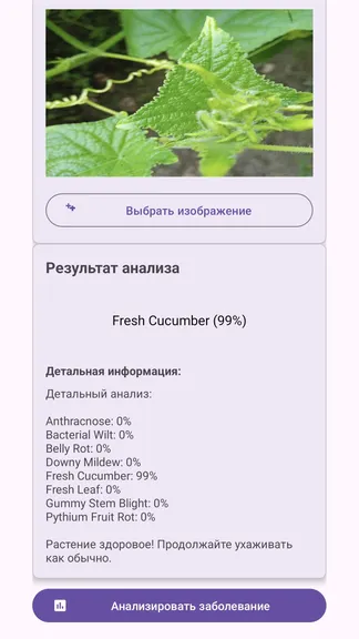 Скриншот 6/6