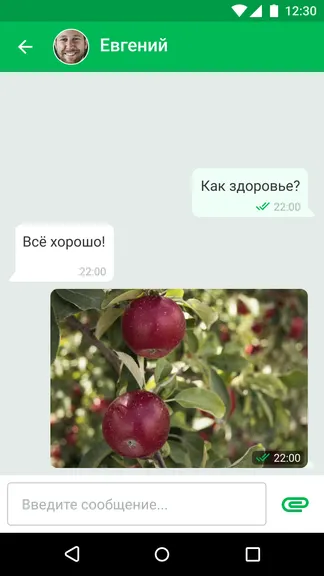 Скриншот 3/4