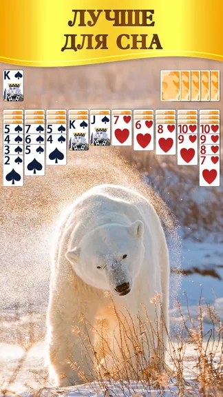 Скриншот 3/6
