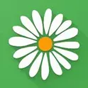 Женский календарь месячных и овуляции логотип