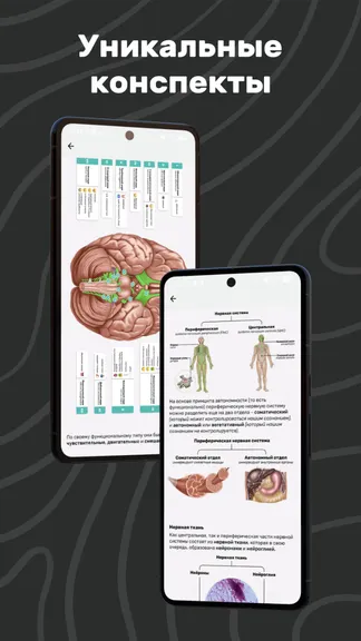 Скриншот 5/7