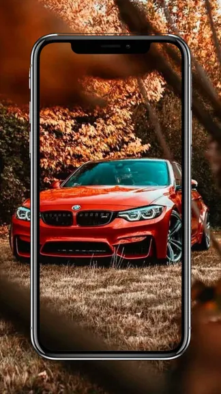 Скриншот 4/8