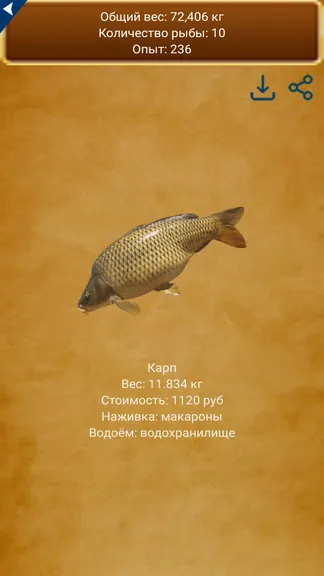 Скриншот 5/5