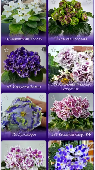Скриншот 3/3