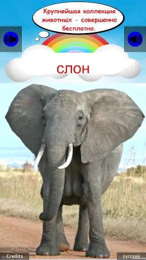 Скриншот 10/10