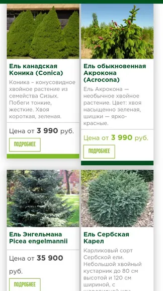 Скриншот 4/7