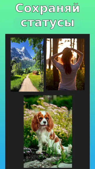 Скриншот 1/3