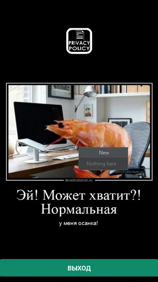 Скриншот 2/3