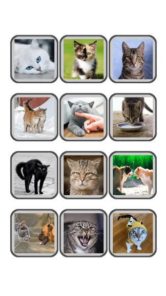 Скриншот 4/4