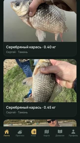 Скриншот 1/7